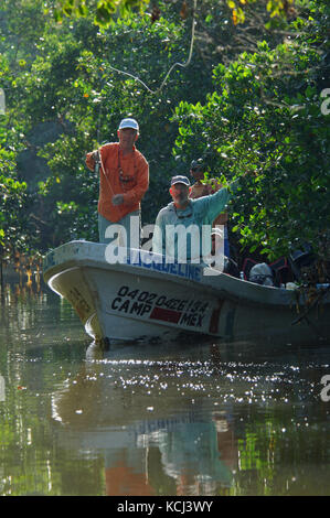 Fischer Fliegenfischen und Casting für Jugendliche Tarpon in den abgelegenen Buchten von Campeche Yucatan Mexiko Stockfoto