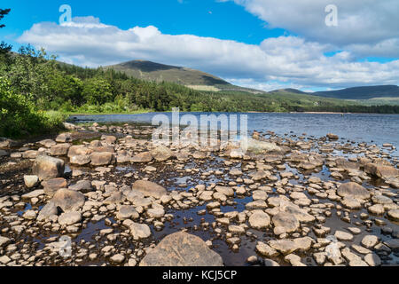 Cairngorm aus Loch Morlich, Aviemore, Highland, Schottland, Großbritannien Stockfoto