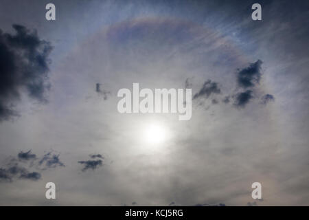 Eine schöne solar Halo bei Bewölkung. Foto in der Nähe der Sonne und ein farbiger Kreis um den Stern, Ansicht von unten. Stockfoto
