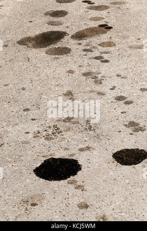 Schwarze Flecken von Motoröl über eine asphaltierte Straße. foto Close-up in einem Winkel, geringe Tiefenschärfe Stockfoto