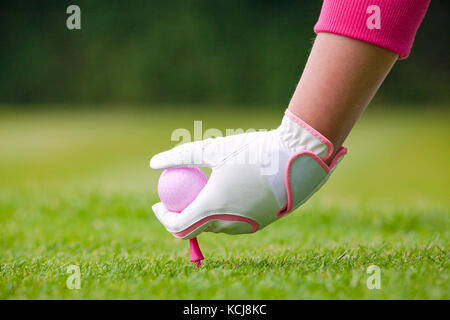 Lady Golfer ihr rosa Kugel und T-Stück in den Boden auf einem Golfplatz. Stockfoto