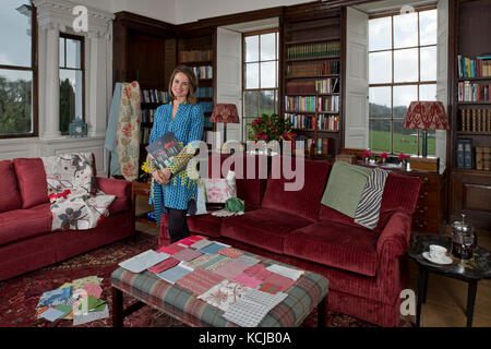 Innenarchitekt, Sarah Fortescue in Ihrem Büro, der Bibliothek von boconnoc Haus, Cornwall, der Familie zu Hause. Stockfoto