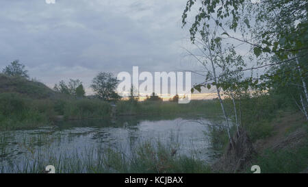 Nebelmorgen im Sumpf bei Dämmerung im Frühling. Sumpf in der Abenddämmerung Stockfoto