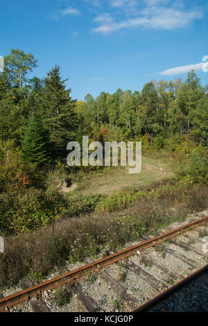 Bahnstrecke auf dem Weg von Toronto nach Halifax Nova Scotia auf den Bahngleisen Landschaftsbäumen Bäume Kiefern alte Schienen Wetter Blick auf den Wald Stockfoto