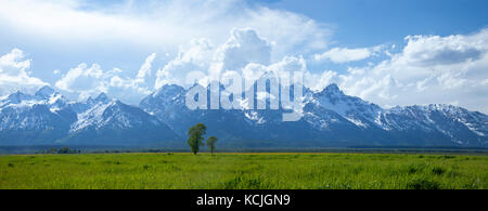 Panorama der Grand Teton Bergkette oben grasartige Felder in Wyoming, USA Stockfoto