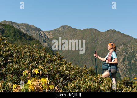 Ein Mädchen mit Stöcke für Nordic Walking und eine Kameratasche erhebt sich der Berg, bewachsen mit Rhododendron, vor der Kulisse des Berges pea Stockfoto