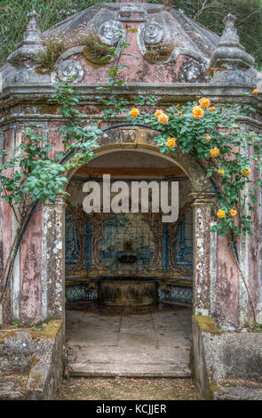 Rosen im Casal Sta Maria, Casas Novas, Sintra, Portugal Stockfoto