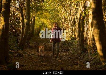 Cardiff, Wales, UK. 05 Okt, 2017. de Wetter. Eine Frau und ihr Hund einen Baum weg bei Sonnenuntergang gesäumt. Credit: mark Hawkins/alamy leben Nachrichten Stockfoto