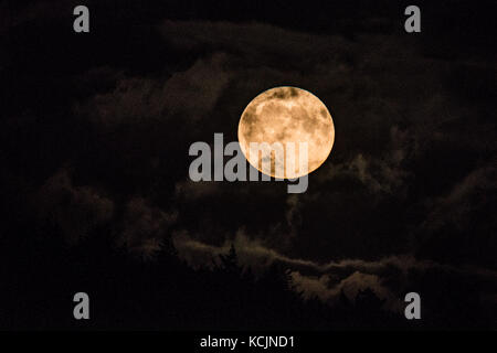 Aberystwyth Wales uk, uk Wetter Donnerstag, 05. Oktober 2017: Eine herrliche 'Harvest Moon' Vollmond steigt dramatisch über die Hügel am Stadtrand von aberystwyth auf eine Nacht der gebrochenen Wolken in West Wales. Der Begriff Harvest Moon bezieht sich auf den Vollmond, der am nächsten zur Herbst-tagundnachtgleiche, der am 22. September nahm. Die meisten Jahre der Harvest Moon im September geschieht, sondern alle drei Jahre oder so im Oktober auftritt. Photo Credit: Keith Morris/alamy leben Nachrichten Stockfoto