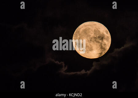 Aberystwyth Wales UK, Donnerstag, 05. Oktober 2017 UK Wetter: Ein glorreicher „Harvest Moon“-Vollmond, der sich dramatisch über die Hügel am Stadtrand von Aberystwyth erhebt, in einer Nacht voller zerbrochener Wolken in Westwales. Der Begriff Harvest Moon bezieht sich auf den Vollmond, der am nächsten zum Herbstnachtgleiche fällt, der am 22. September stattfand. In den meisten Jahren findet der Erntemond im September statt, aber alle drei Jahre oder so im Oktober. Foto: Keith Morris/Alamy Live News Stockfoto