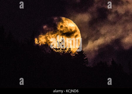 Aberystwyth Wales UK, Donnerstag, 05. Oktober 2017 UK Wetter: Ein glorreicher „Harvest Moon“-Vollmond, der sich dramatisch über die Hügel am Stadtrand von Aberystwyth erhebt, in einer Nacht voller zerbrochener Wolken in Westwales. Der Begriff Harvest Moon bezieht sich auf den Vollmond, der am nächsten zum Herbstnachtgleiche fällt, der am 22. September stattfand. In den meisten Jahren findet der Erntemond im September statt, aber alle drei Jahre oder so im Oktober. Foto: Keith Morris/Alamy Live News Stockfoto