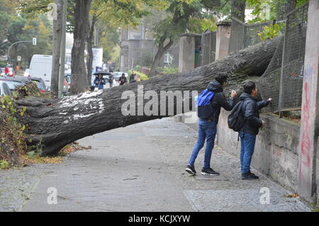 Berlin, Deutschland. 06 Okt, 2017. Sturm 'Xavier' Blätter 7 Todesfälle in Deutschland - einen Baum fiel in einen Schulhof in der rubensstrasse in Berlin Credit: markku Rainer peltonen/alamy leben Nachrichten Stockfoto