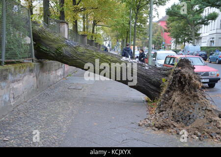 Berlin, Deutschland. 06 Okt, 2017. Sturm 'Xavier' Blätter 7 Todesfälle in Deutschland - einen Baum fiel in einen Schulhof in der rubensstrasse in Friedenau in Berlin Credit: markku Rainer peltonen/alamy leben Nachrichten Stockfoto