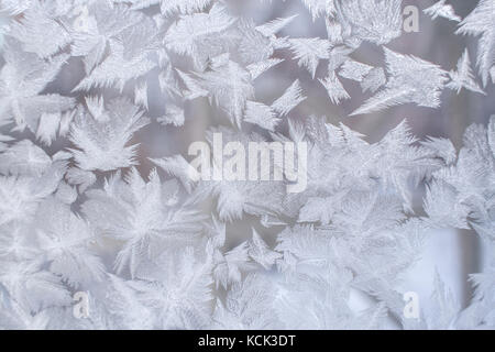 Schöne frostige Muster in Form von riesigen wies Schneeflocken auf Fensterglas. Stockfoto