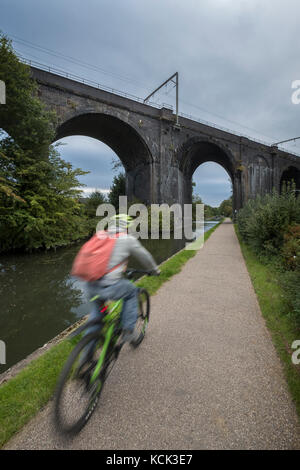 Radfahrer auf der Canal Leinpfad mit Bahn Viadukt Stockfoto