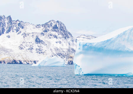 Eisberge in der Südgeorgien und die Südlichen Sandwichinseln Stockfoto