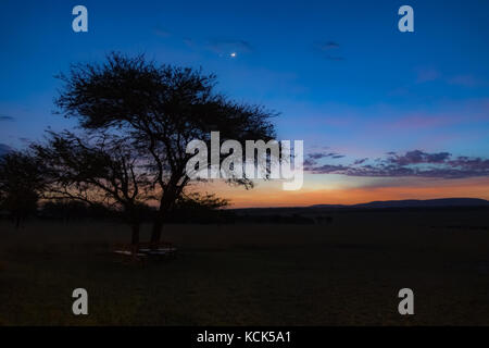 African Sunrise im Norden von Tansania, Kaskaz Mara Camp, Serengeti National Park Stockfoto