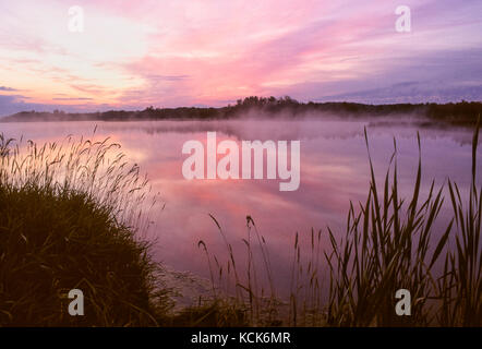 Sonnenaufgang über Kelly See bei Fielding Park, die Stadt von grösserem Sudbury, Ontario, Kanada Stockfoto