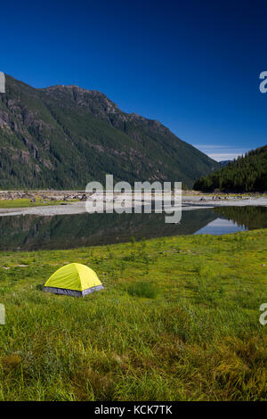 Ein einsamer helle grüne Zelt am Kopf der buttle Lake im Strathcona Park bietet im Gegensatz zu einem klaren blauen Himmel, Strathcona Park, Vancouver Island, British Columbia, Kanada. Stockfoto