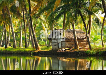 Kleine reetgedeckte Gebäude neben Backwaters von Monroe Insel, Kerala, Indien Stockfoto
