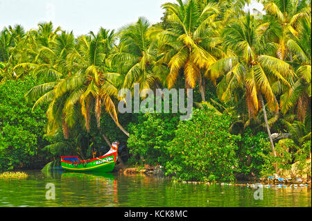 Günstig Fischerboot in backwaters zwischen Kollam und Cochin, Kerala, Indien Stockfoto