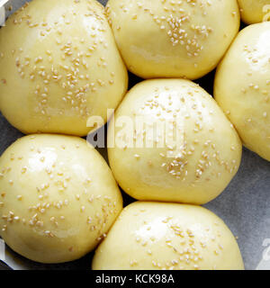 Die steigenden Rohstoffpreise Brötchen auf ein Backblech Stockfoto