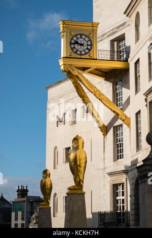 Vergoldete Eulen und Uhr außerhalb von Leeds Civic Hall, West Yorkshire, England. Stockfoto