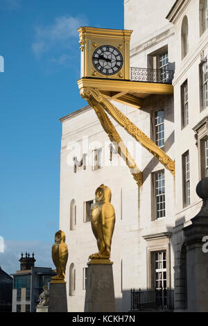 Vergoldete Eulen und Uhr außerhalb von Leeds Civic Hall, West Yorkshire, England. Stockfoto