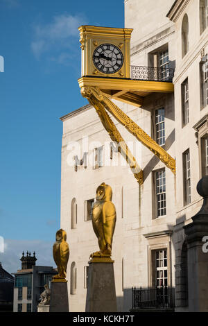 Vergoldete Eulen und Uhr außerhalb von Leeds Civic Hall, West Yorkshire, England. Stockfoto