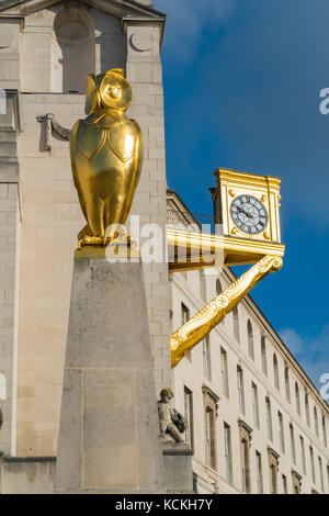 Vergoldete Eulen und Uhr außerhalb von Leeds Civic Hall, West Yorkshire, England. Stockfoto