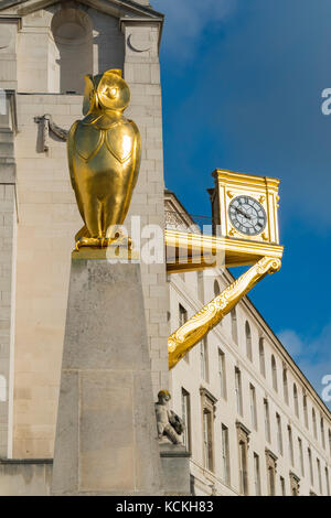 Vergoldete Eulen und Uhr außerhalb von Leeds Civic Hall, West Yorkshire, England. Stockfoto