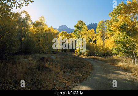 Geschwungene unbefestigte Straße durch Ändern von falllaub unter mount Humphreys in der östlichen Sierra Nevada Kalifornien Stockfoto