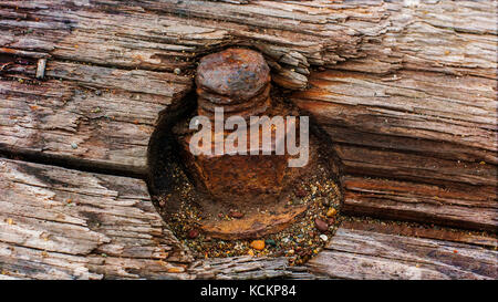 Embedded rostige Schraube und Mutter in einer verwitterten Schiff Plank Stockfoto