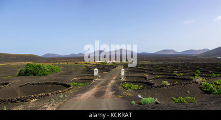 Lanzarote Landschaft und Architektur im Weinanbaugebiet La Geria an der LZ-30 Straße zwischen Masdache und Uga, Isla de Lanzarote, Spanien. Stockfoto