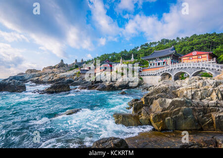 Haedong Yonggungsa Tempel in Busan, Südkorea. Stockfoto