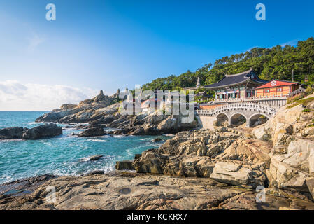 Haedong Yonggungsa Tempel in Busan, Südkorea. Stockfoto