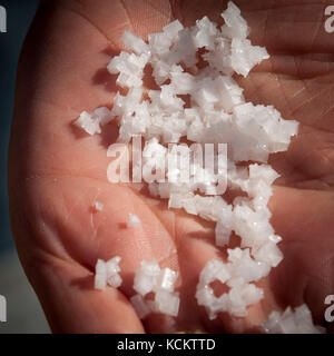 West-Wind Fleur de Sel Stockfoto