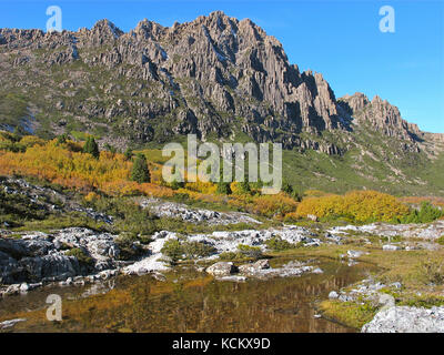 Cradle Mountain mit Laubbeeches (Fuscospora gunnii) und einem kleinen Berg tarn. Cradle Mountain-Lake St Clair National Park, Tasmanien, Australien Stockfoto