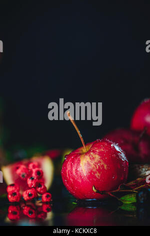 Rot miniatur Apple close-up in einem Herbst noch Leben mit Laub. Dunkle essen Fotografie mit kopieren. vogelbeeren und feige Obst schneiden. Stockfoto