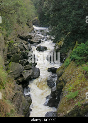 Abschnitt des Leven Canyon, bekannt als die Splits am Leven River. südlich von Ulverstone, nordwestlich von Tasmanien, Australien Stockfoto