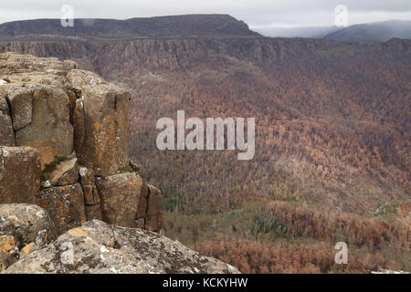 Umfangreiche Schäden im Fisher River Valley unterhalb des Devils Gullet durch katastrophale Brände. Great Western Tiers, Nordtasmanien, Australien Stockfoto