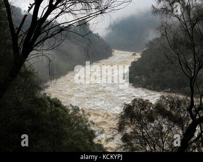 South Esk River in Überschwemmung. Cataract Gorge, Launceston, Tasmanien, Australien Stockfoto