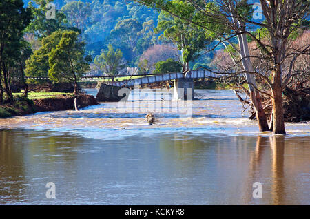 Eingestürzte Eisenbahnbrücke über den Mersey River in Kimberley nach dem Hochwasser. Nordwest-Tasmanien, Australien Stockfoto