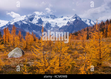 Berg Macbeth oben fallen Lärchen in Monica suchen, Purcell Mountains in British Columbia, Kanada. Stockfoto