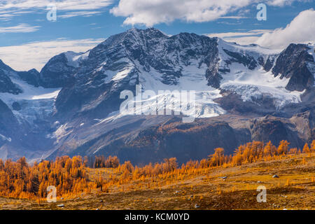 Berg Macbeth oben fallen Lärchen in Monica suchen, Purcell Mountains in British Columbia, Kanada. Stockfoto