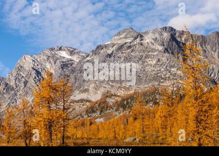 Mount Monica oben fallen Lärchen in Monica suchen, Purcell Mountains in British Columbia, Kanada. Stockfoto