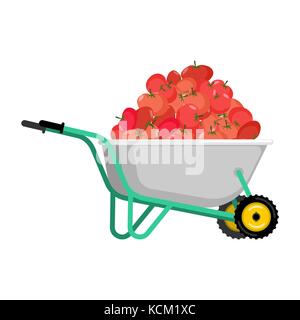 Schubkarren und Tomate. Gemüse im Garten Trolley. grosse Ernte Vector Illustration Stock Vektor