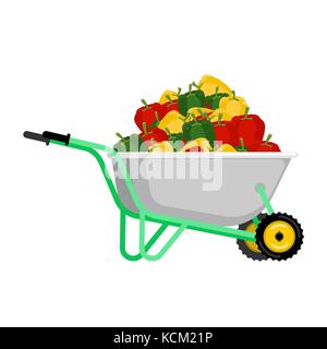 Schubkarren und Pfeffer. Gemüse im Garten Trolley. grosse Ernte Vector Illustration Stock Vektor