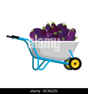 Schubkarren und Aubergine. Gemüse im Garten Trolley. grosse Ernte Vector Illustration Stock Vektor