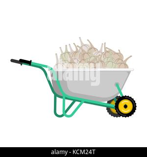 Schubkarren und Knoblauch. Gemüse im Garten Trolley. grosse Ernte Vector Illustration Stock Vektor